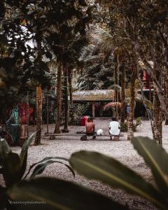 two people sitting on a bench in a park with palm trees at Pousada e Hostel Marthi in Ubatuba