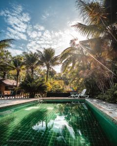 a swimming pool with chairs and palm trees at Pousada e Hostel Marthi in Ubatuba