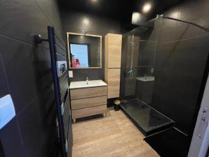 a bathroom with a shower and a sink and a mirror at Meublé 42 m2 à Vittel proche Thermes-SPA in Vittel +4 photos