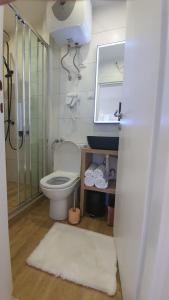 a bathroom with a toilet and a shower and a mirror at Apartments Gemma in Mandre