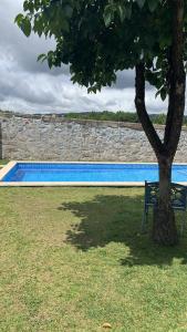 a bench under a tree next to a swimming pool at Casa das Uveiras in Paços de Ferreira