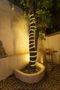 Fotografie z fotogalerie ubytování Bito's Hotel Boutique v destinaci San Miguel de Allende