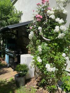 Un Autre Monde外面的花园