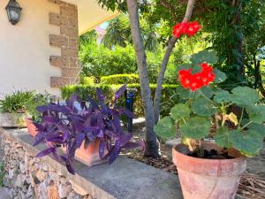 A garden outside IL Rustico di Giò
