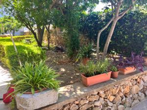 A garden outside IL Rustico di Giò