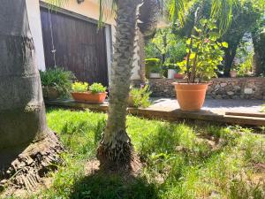 A garden outside IL Rustico di Giò