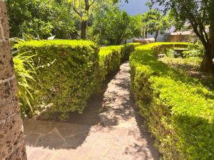 A garden outside IL Rustico di Giò