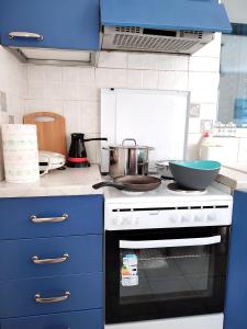 a kitchen with a stove with a bowl on it at Alexandros Luxury Apartments Nydri in Nydri