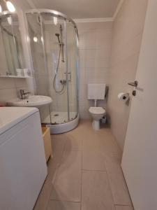 W łazience znajduje się prysznic, toaleta i umywalka. w obiekcie Apartmani Mistral w Rogoznicy
