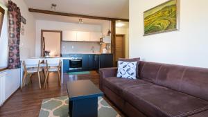 美國魯穆尼卡的住宿－瓦爾尼拉公寓，带沙发的客厅和厨房