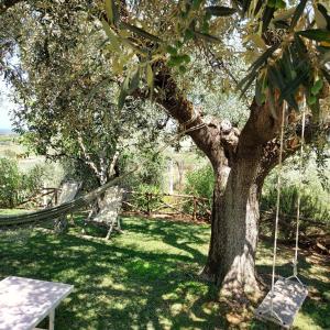 Vonkajšia záhrada v ubytovaní Agriturismo Villa Carducci