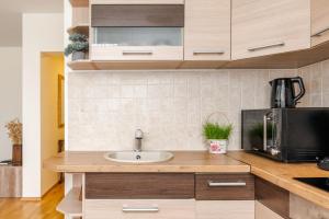 Kuchyň nebo kuchyňský kout v ubytování Tallinna mnt 2, Apartment 3