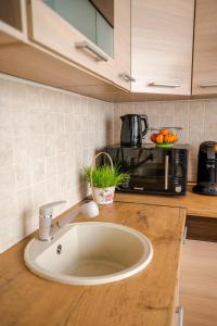 Kuchyň nebo kuchyňský kout v ubytování Tallinna mnt 2, Apartment 3
