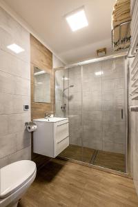 La salle de bains est pourvue d'une douche, de toilettes et d'un lavabo. dans l'établissement ARAMIKA apartamenty, à Szklarska Poręba