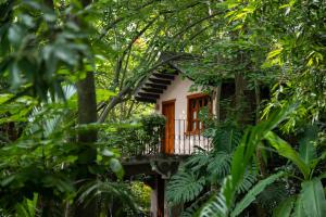 une cabane dans les arbres avec un balcon dans la forêt dans l'établissement Hotel La Casa de los Árboles Immersive Experience, à Zacualpan de Amilpas