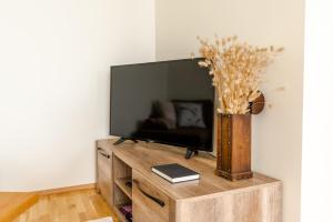 TV a/nebo společenská místnost v ubytování Tallinna mnt 2, Apartment 3