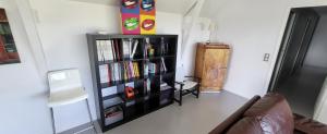 Biblioteka w willi