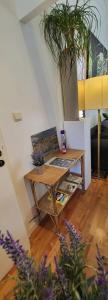 um quarto com uma mesa com uma planta em Bright studio near Nato em Bruxelas
