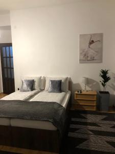 um quarto com uma cama e um vaso de plantas em Apartament BAȘAK 2 em Deva