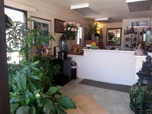 una tienda con un mostrador con plantas en una habitación en Colusa Riverside Inn, en Colusa