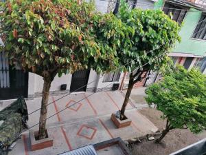 Zahrada ubytování Bienvenido a tu segundo hogar a dos cuadras del centro recreaciónal lagos club comfatolima