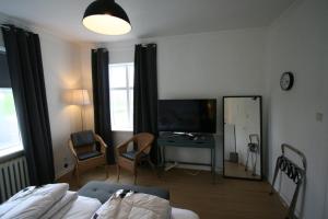 TV a/nebo společenská místnost v ubytování Riverside Hostel