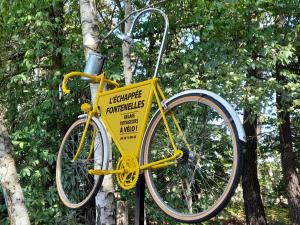 a yellow bicycle is attached to a tree at Chalet nature et détente avec piscine, proche zoo de la Flèche et Le Mans, idéal cyclistes et familles - FR-1-410-367 in La Suze-sur-Sarthe