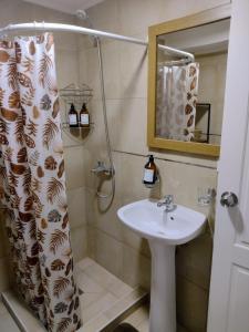 La salle de bains est pourvue d'un lavabo et d'un rideau de douche. dans l'établissement Departamento céntrico en Bariloche, à San Carlos de Bariloche