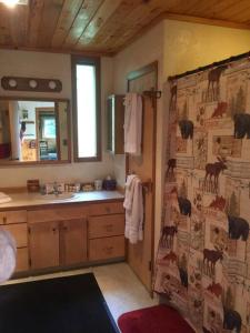 een badkamer met een wastafel en een douchegordijn bij Denali Park Homestead in McKinley Park