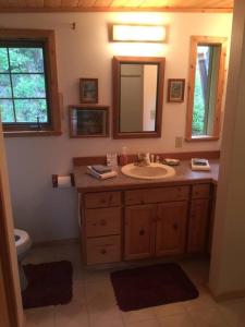 een badkamer met een wastafel en een spiegel bij Denali Park Homestead in McKinley Park