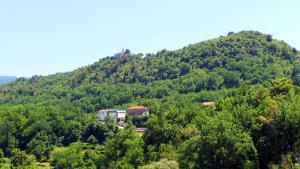 Fotografie z fotogalerie ubytování Apartment Fila v destinaci Zvečanje