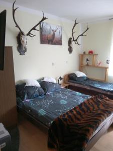 ein Schlafzimmer mit einem Bett und Geweihen an der Wand in der Unterkunft Hunter 3 in Jugów