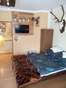Zimmer mit einem Bett mit einer Tiger-gemusterten Decke in der Unterkunft Hunter 3 in Jugów