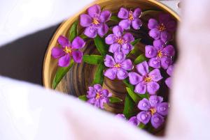 瓜隆岛The Secret Garden Koh Rong的相册照片