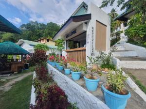 una fila de plantas en macetas sentadas fuera de un edificio en Bellevue Resort, en Puerto Galera