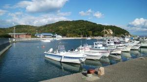 a group of boats are docked in a harbor at Minshuku Marin - Vacation STAY 90965 in Higashikagawa