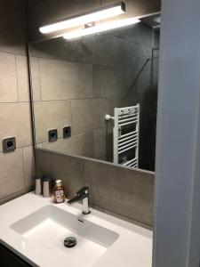 La salle de bains est pourvue d'un lavabo et d'un miroir. dans l'établissement Entre mer et commerces, à Wimereux