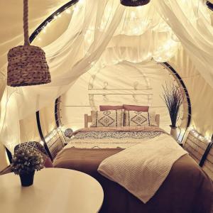 a bedroom with a bed with a white canopy at Dragonfly Gardens - The Wagons in Braşov