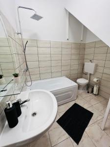 y baño con lavabo y aseo. en Apartament in regim hotelier King Medias, en Mediaş