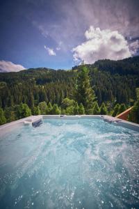 a swimming pool with a view of a mountain at Chalet Tannenbaum in Saalbach-Hinterglemm