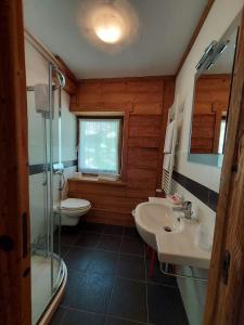 y baño con aseo, lavabo y ducha. en Albergo Gran Paradiso en Valsavarenche