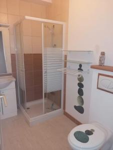 a bathroom with a shower with a toilet and a sink at Gîte cosy la Mosaïque, à Selles-sur-Cher, 15 mn du zoo Beauval in Selles-sur-Cher