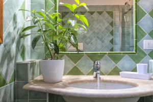 ein Waschbecken mit Topfpflanze darauf in der Unterkunft House of Lens in Golfo Aranci + 33 Fotos