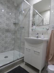 a bathroom with a sink and a shower and a toilet at Apartmán Dolinky in Vyhne