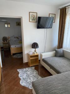 a living room with a couch and a flat screen tv at Casa Donau Delta in Sulina