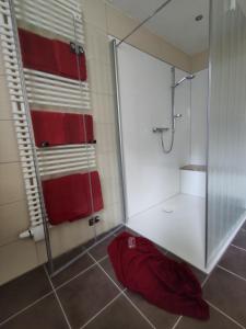 een badkamer met een douche en een rode handdoek op de vloer bij Siris Ferienhaus in Springstille