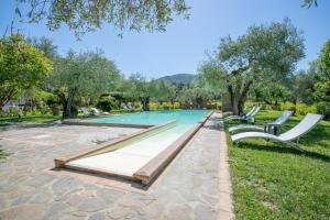 a row of benches next to a swimming pool at Agriturismo Buen Camino in Scarlino