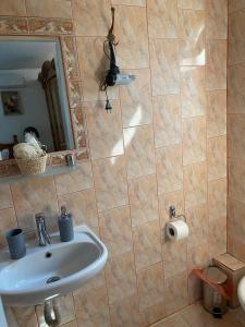 a bathroom with a sink and a mirror at Casa Donau Delta in Sulina +22 photos