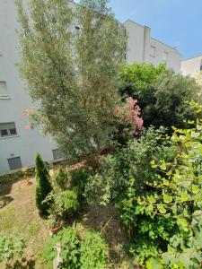Vonkajšia záhrada v ubytovaní Apartment Diana Split Znjan