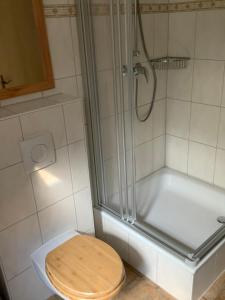 een badkamer met een douche, een toilet en een bad bij Lutki Dom in Lübben